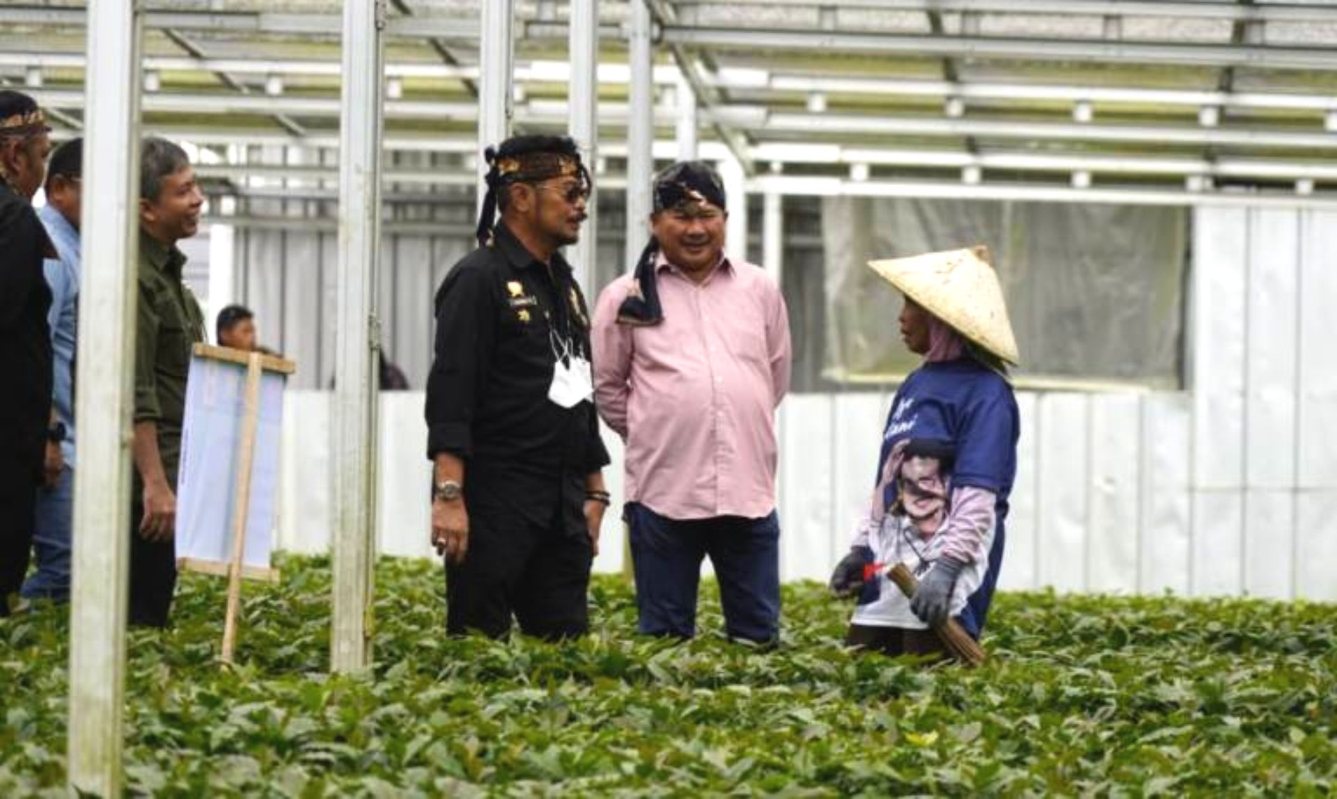 Jurus Menteri Pertanian Jadikan Indonesia Sebagai Produsen Kopi Terbesar di Dunia